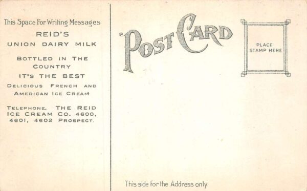 Reid's Union Dairy Milk Reids Ice Cream Vintage Postcard AA82647 - Image 2