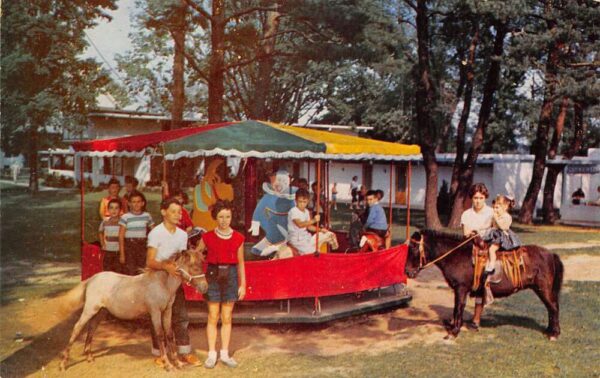 Burlington Wisconsin Browns Lake Resort Carousel and Ponies Postcard AA82701