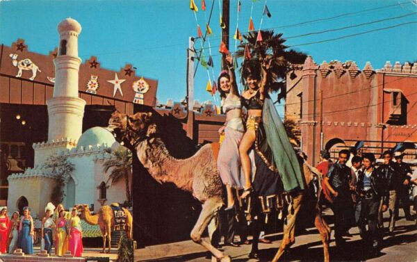 Indio California National Date Festival Parade Scenes Vintage Postcard AA82704