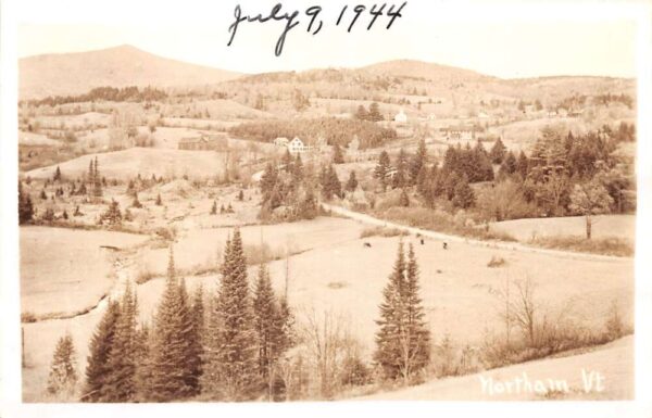 Northam Vermont Birds Eye View Real Photo Vintage Postcard AA82724