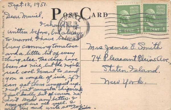 Matamoras Pennsylvania Westfall Garden Vintage Postcard AA82890 - Image 2
