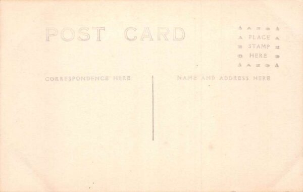 Portland Oregon ? Rose Festival Parade Turkey Float Real Photo Postcard AA81668 - Image 2