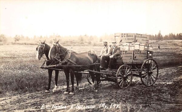 East Sullivan Maine EG Hanna Delivery Wagon Real Photo Vintage Postcard AA81731