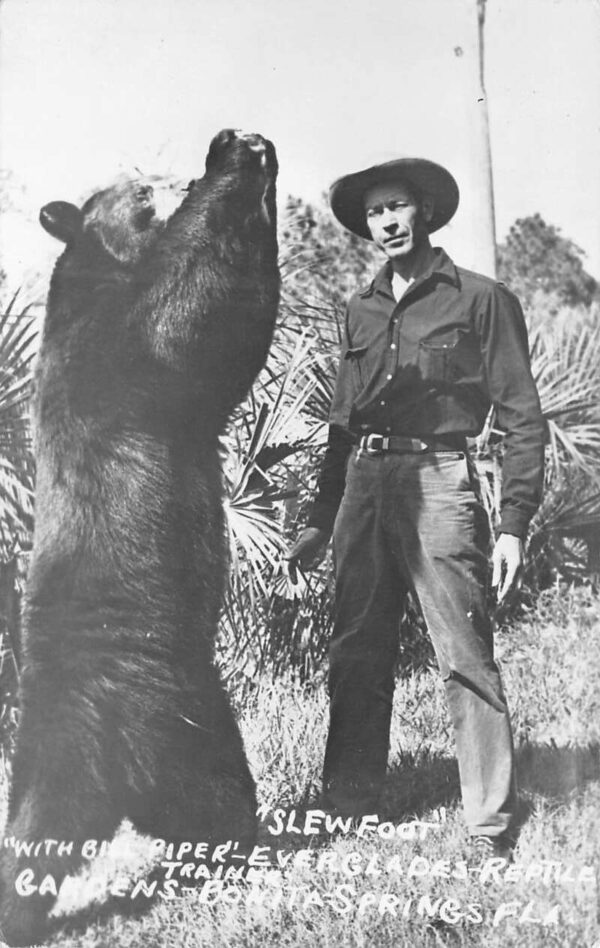 Bonita Springs Florida Everglades Reptile Gardens Bear Real Photo PC AA81733
