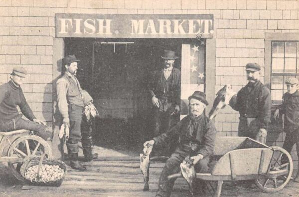 Marshfield Massachusetts Fish Market Vintage Postcard AA81737