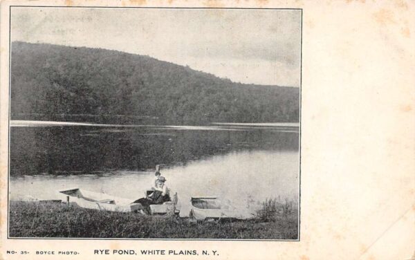 White Plains New York Rye Pond Row Boats Vintage Postcard AA81762