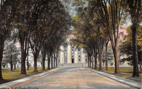 Utica New York State Hospital Tree Lined Street Vintage Postcard AA81763