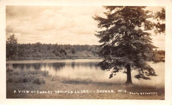Saynea Wisconsin Forest Springs Lodge Real Photo Vintage Postcard AA81773