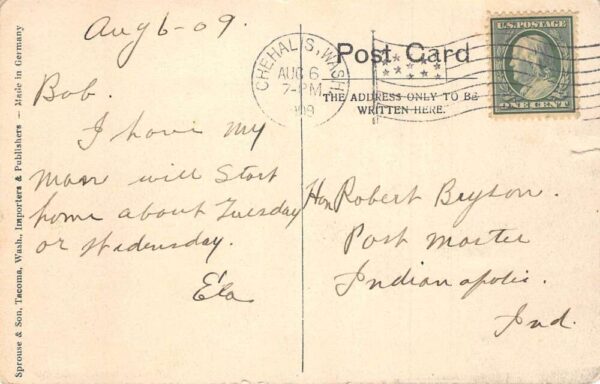Chehalis Washington McKinley Stump Vintage Postcard AA81802 - Image 2