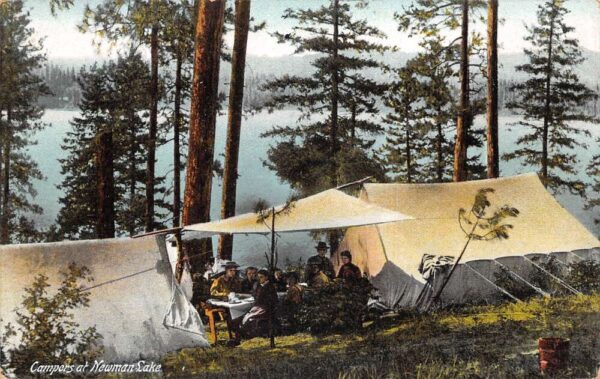 Newman Lake Washington Camping Scene Vintage Postcard AA81843