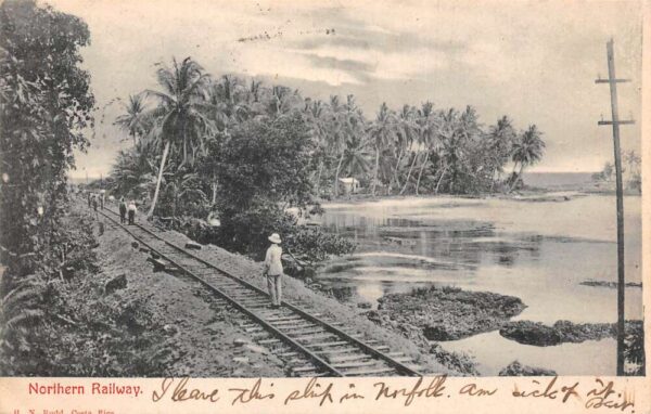 Costa Rica Northern Railway Scene Vintage Postcard AA81859