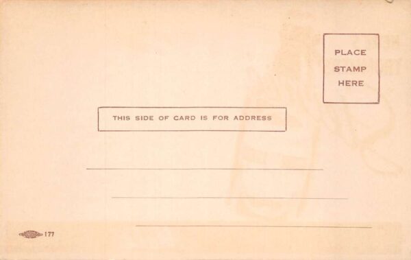 Trommer's Malt Beer Steine's Stork Advertising Vintage Postcard AA81864 - Image 2