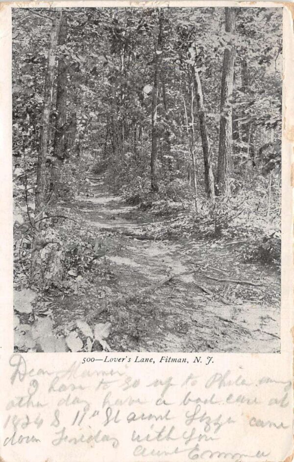 Fitman New Jersey Lovers Lane Scenic View Vintage Postcard AA81872
