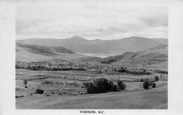 Vernon BC Canada Birds Eye View Real Photo Vintage Postcard AA81879