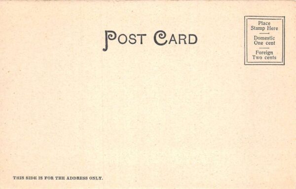 Brooklyn New York Greenwood Cemetery Scenic View Vintage Postcard AA81884 - Image 2