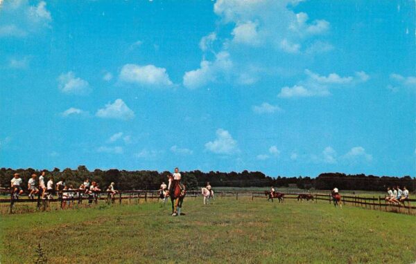 Florence Alabama Woodhaven Summer Camp Horse Riding Ring Postcard AA81920