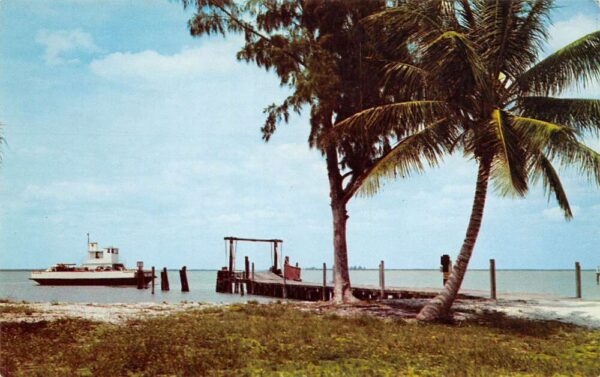 Punta Rassa Florida Auto Ferry, Chrome, Vintage Postcard U17603