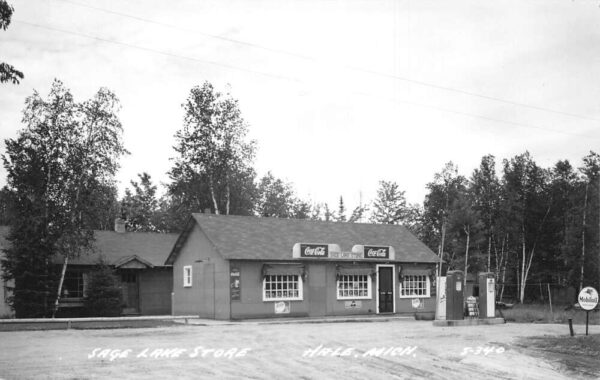 Hale Michigan Sage Lake Store Coke Signs Real Photo Postcard AA82061