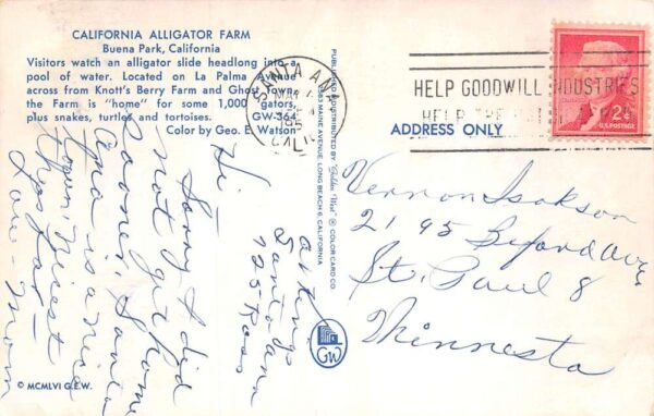 Buena Park California Alligator Farm Alligator Slide Vintage Postcard AA82240 - Image 2