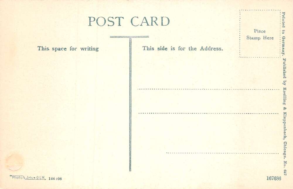 Chicago Illinois Lincoln Park Playing Baseball Sports Postcard AA82246 - Image 2