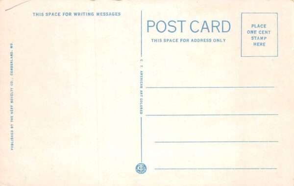 Wheeling West Viginia State Fair Grounds Business Section Postcard AA82257 - Image 2