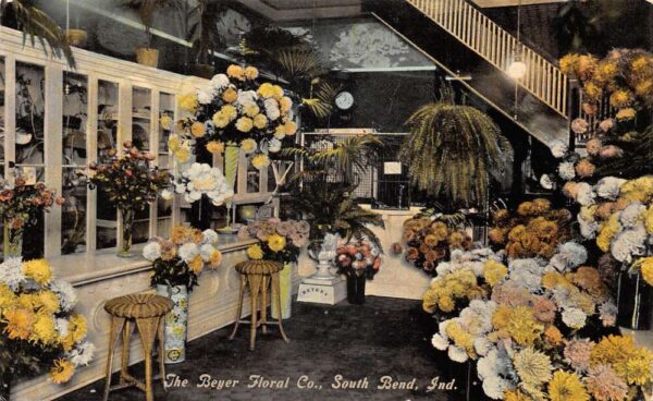 South Bend Indiana Beyer Floral Co Florist Shop Interior Postcard AA93489