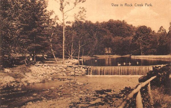 Washington DC Rock Creek Park Scenic View Swans Vintage Postcard AA93630