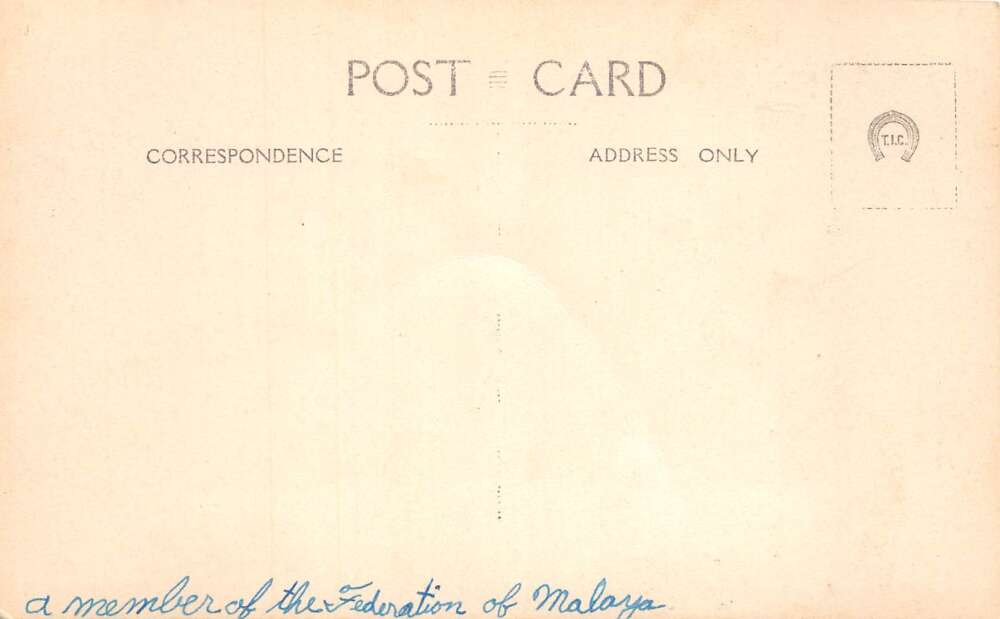 Tanjong Bunga Penang Malaysia Palm Trees along Beach Real Photo PC AA95889 - Image 2