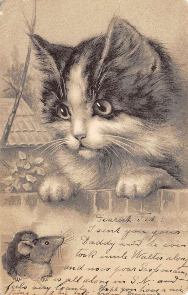 Cat on Garden Wall Looking at Mouse Vintage Postcard AA92921