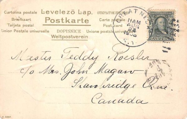 Cat on Garden Wall Looking at Mouse Vintage Postcard AA92921 - Image 2