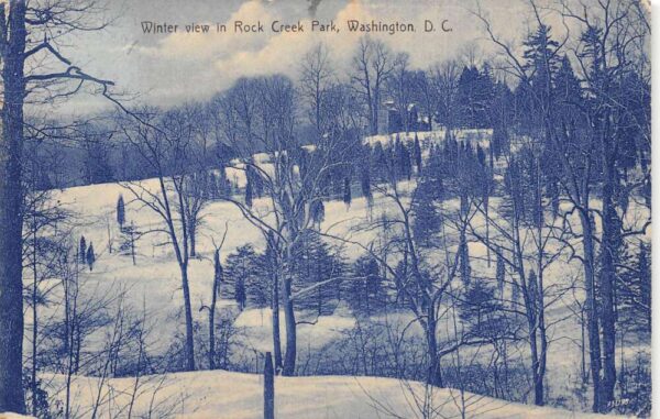 Washington DC Rock Creek Park Winter Scenic View Vintage Postcard AA93009