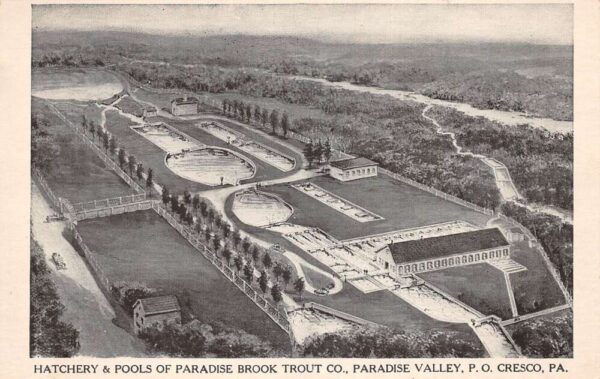 Cresco Pennsylvania Hatchery and Pools of Paradise Brook Trout PC AA94360