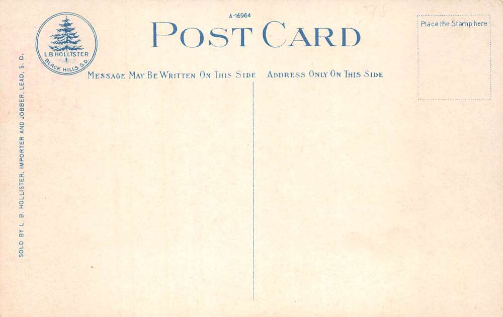 Lead Black Hills South Dakota Railroad Bridges Mining Scene Postcard AA95093 - Image 2