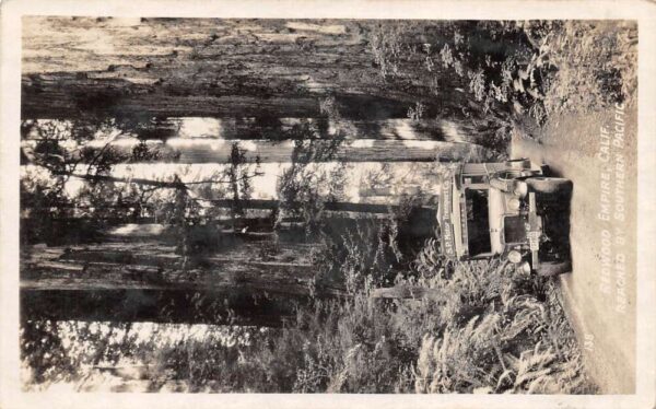 Redwood Empre California Southern Pacific Bus Tour Real Photo Postcard AA95097