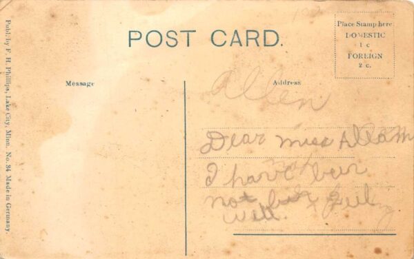 Maiden Rock Wisconsin The Lake Front Scenic View Vintage Postcard AA97281 - Image 2