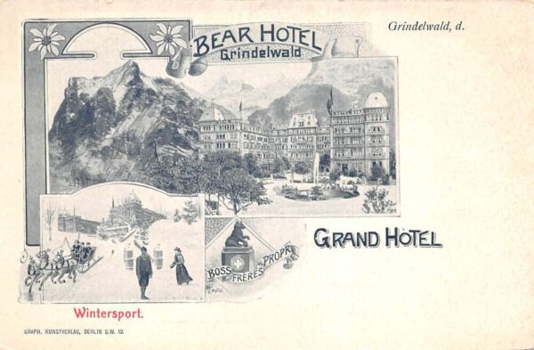 Grindelwald Germany Bear Hotel Views Ice Skating Vintage Postcard AA98169