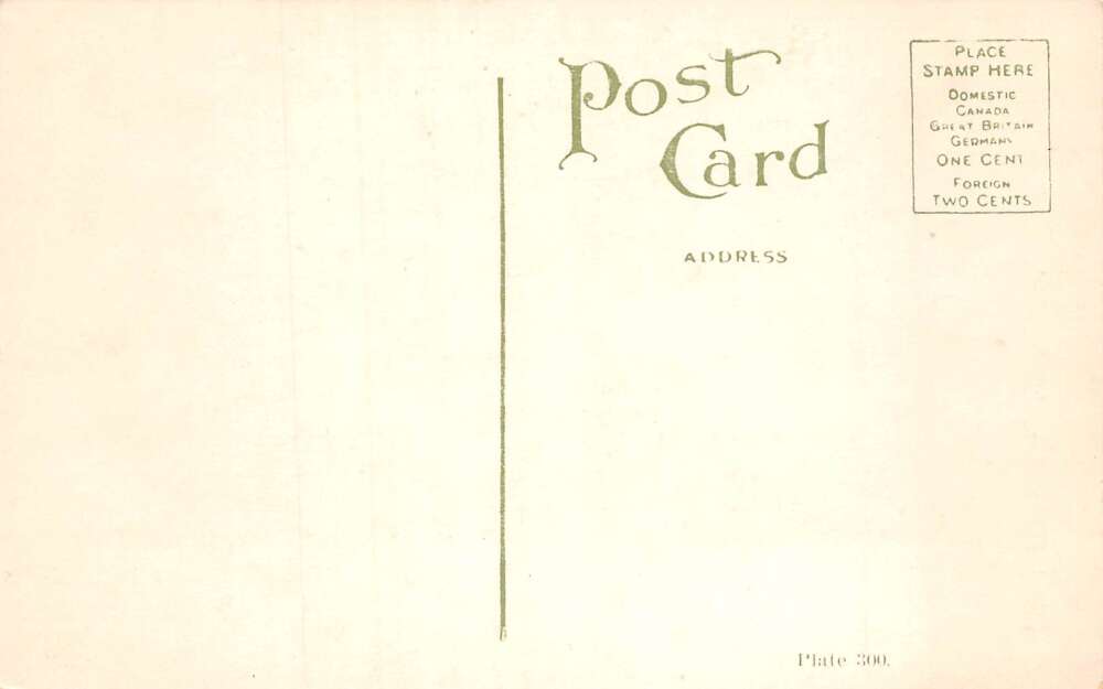 Dover Delaware Hotel Richardson Vintage Postcard AA98189 - Image 2