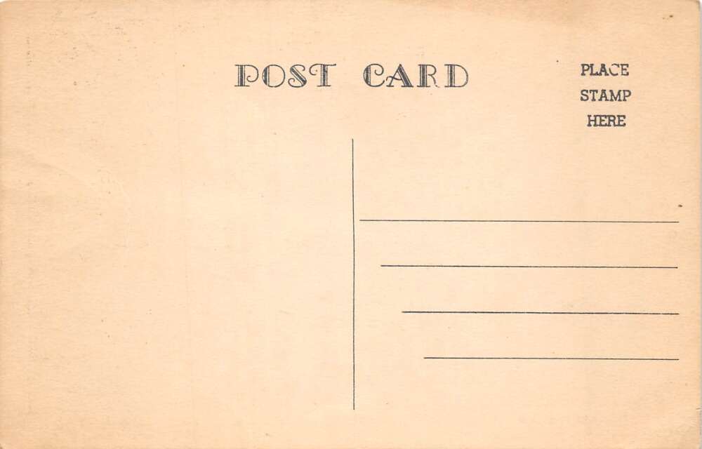 Arca New York Fincke's Manor Vintage Postcard AA98195 - Image 2