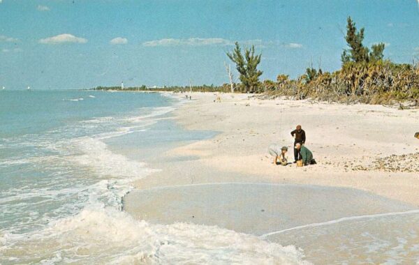 Boca Grande Florida Shelling at the Surf Vintage Postcard AA98347