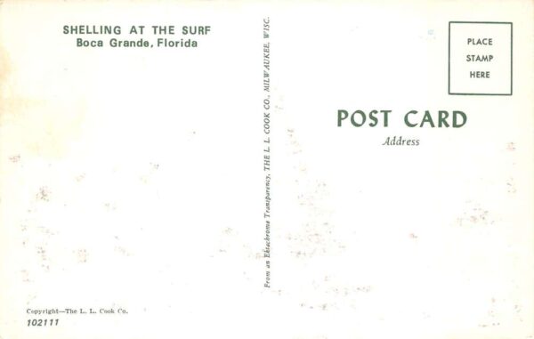 Boca Grande Florida Shelling at the Surf Vintage Postcard AA98347 - Image 2