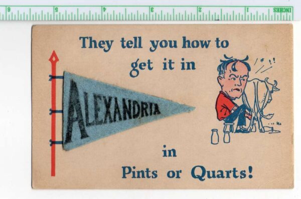 Alexandria Virginia Greetings Felt Pennant Flag Milking Cow Postcard AA98393