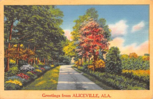 Aliceville Alabama Greetings Scenic Road Vintage Postcard AA90183