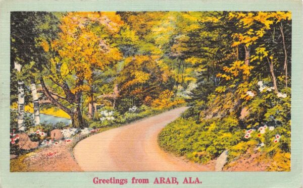 Arab Alabama Greetings Scenic Road Vintage Postcard AA90184
