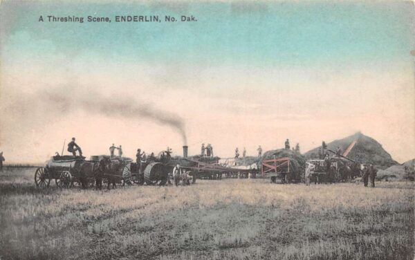 Enderlin North Dakota Farming Scene Steam Thresher Vintage Postcard AA90244