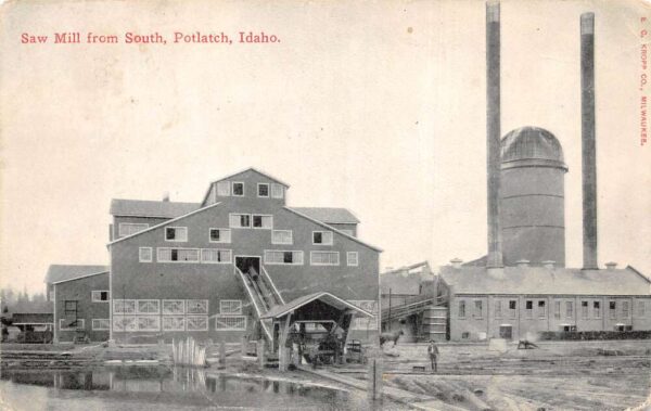 Potlach Idaho Saw Mill from South Vintage Postcard AA90582