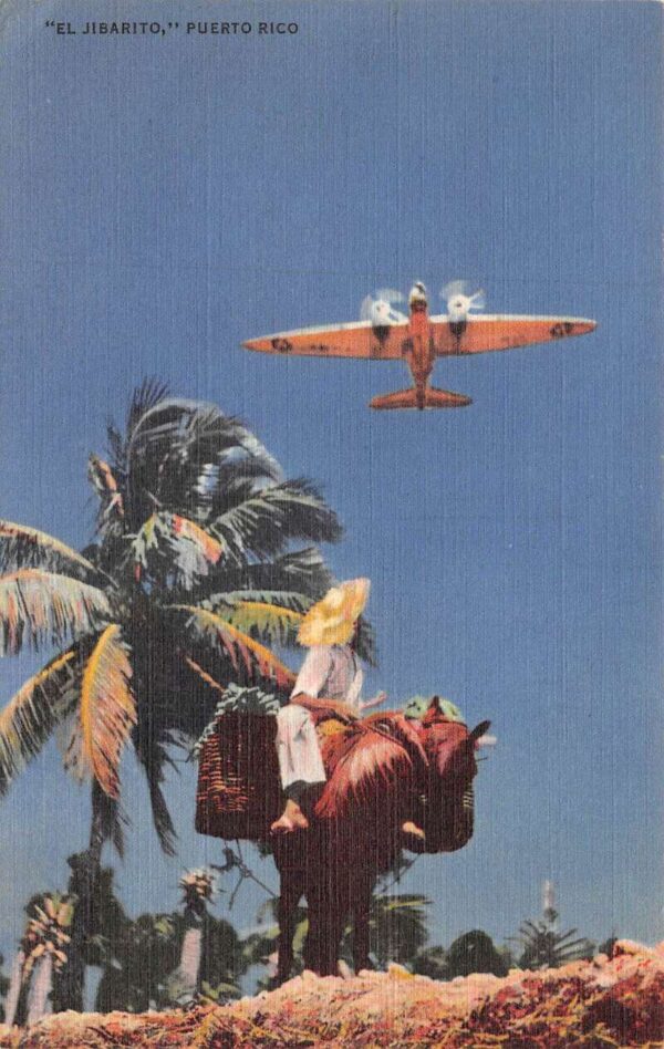 Puerto Rico El Jibarito US Army Airplane Vintage Postcard AA90614