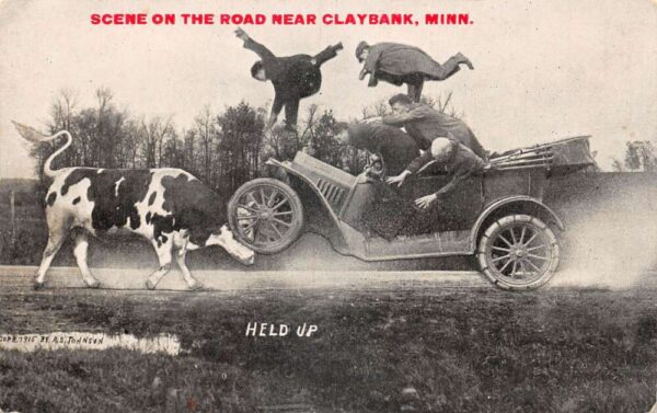 Claybank Minnesota "Held Up" Car Accident Into Cow Humor Postcard AA90619