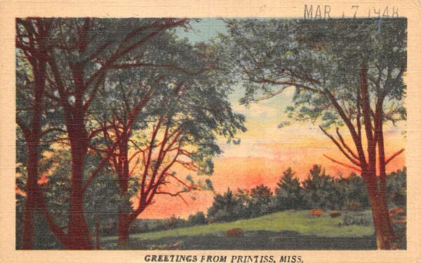 Printiss Mississippi Greetings Landscape Scenic View Vintage Postcard AA90620