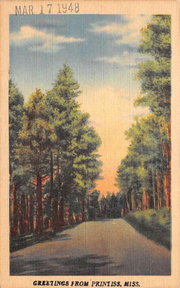 Printiss Mississippi Greetings Roadway Scenic View Vintage Postcard AA90624