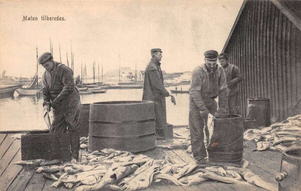Norway Fishermen preparing Fish Vintage Postcard AA90796